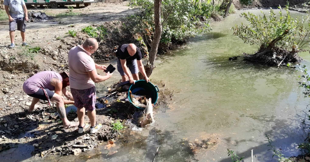 Halakat hoztak, medencék is lesznek